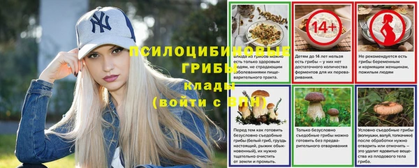 амф Абдулино