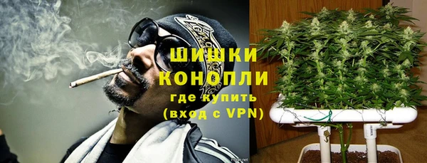 твердый Абаза